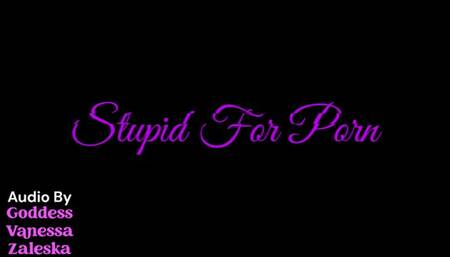 Stupid and Gooned For Porn Audio