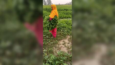 When I went to get fodder from the field, the owner of the farm caught me and fucked me