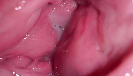 all my getting pregnancy (cum inside pussy) were videotaped successfully like this