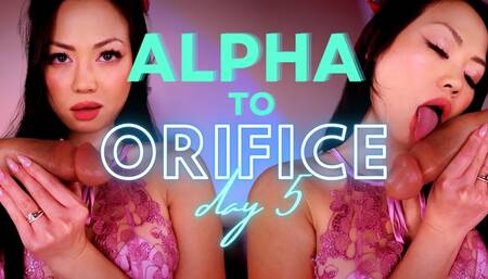 Alpha to Orifice Day 5 - 720p