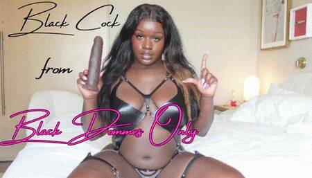 Black dick ONLY for your White holes
