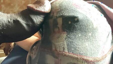 fucking big  tight slut xvideos