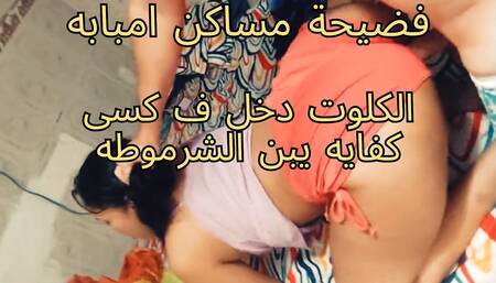 Egypt Is a Whore, at Dawn, Oh, I Swear, Ahmed