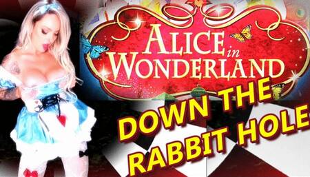 ALICE IN WONDERLAND DOWN THE RABBIT HOLE