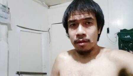 My Fighting Cock