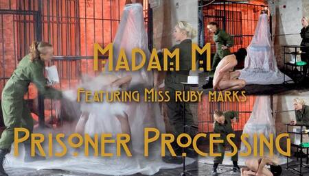 Prisoner Processing, stripped, slapped, strapped and delousing humiliation