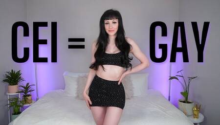 CEI is Gay (WMV HD)