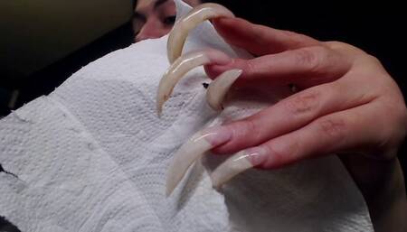 morning display of powernov 2024