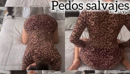 Gas malo