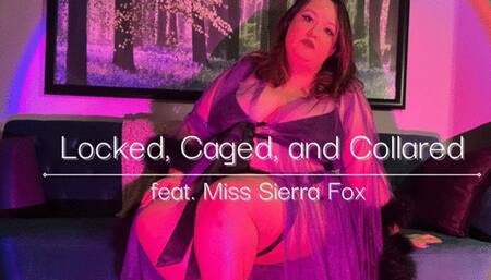 Locked, Caged, and Collared (with subtitles)