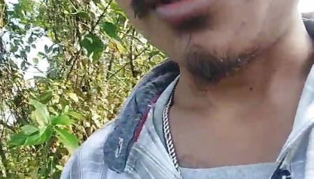 Jungle mein