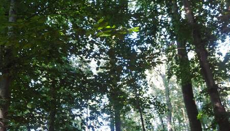 Outdoor, caged and doesn't allowed to cum