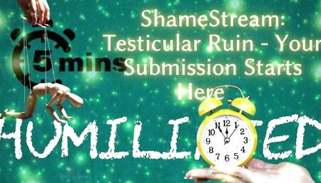 Shamestream: Testicular Ruin - Your Submission Starts Here