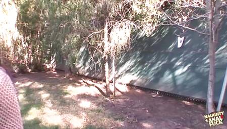 Cultish hotties with big butts love engaging in group sex that contains deep anal thrusts