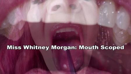 Miss Whitney Morgan Mouth Scoped - mp4