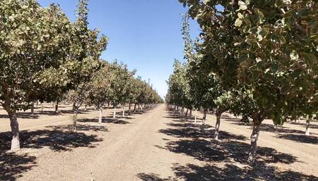 My 18 Year Old Friend Has a Tight Ass