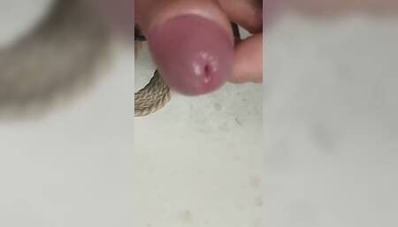 In the Junk Room. Bayer