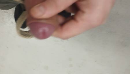 In the Junk Room. Bayer