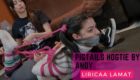 Pigtails hogtie by Andy