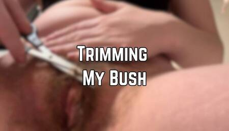 Bush Trim 1080p