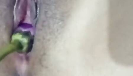 Desi Sapna Bhabhi Baingan Chut Chudai