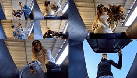 Your last days before garbage collection (small version)