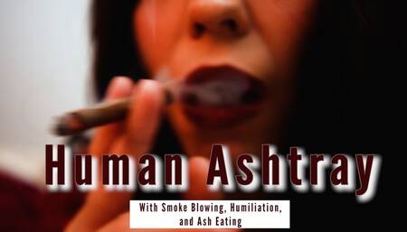 Beta Boy Mouth As My Ashtray