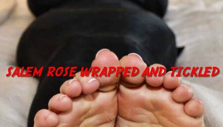 Salem Rose Wrapped and Tickled
