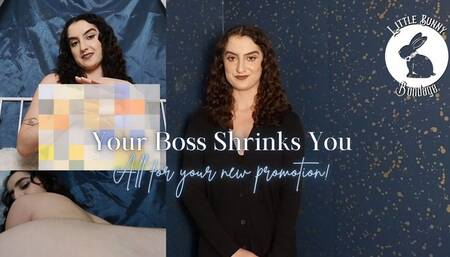 Your Boss Shrinks You!