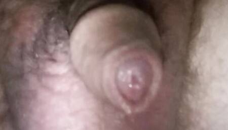 Cute little dick
