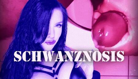 Schwanznosis (kleine Version)