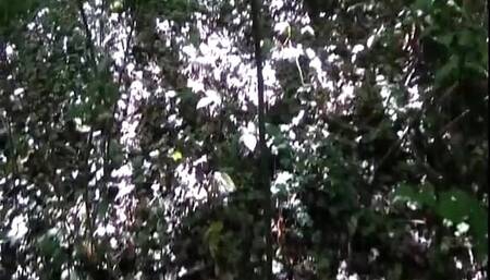 Sexy time outside and back home