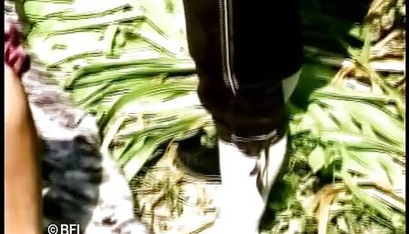 mountain farmers fuck.