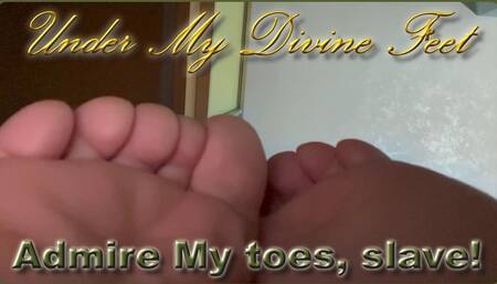 Admire My toes, slave!