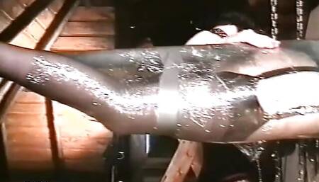 Caught in a spiders web