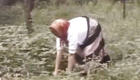 Hairy grandma spreads her legs for younger guy's pecker