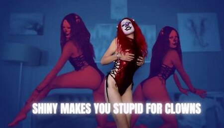 Shiny Makes You Stupid For Clowns