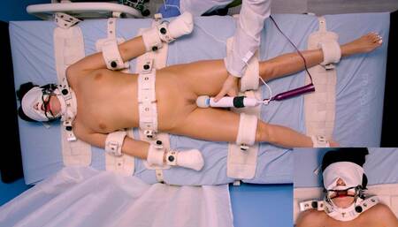 Obedience Training for LilMizzUnique