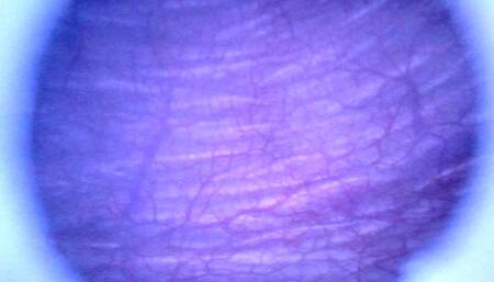 Beautiful inside POV of my Dick and full Bladder