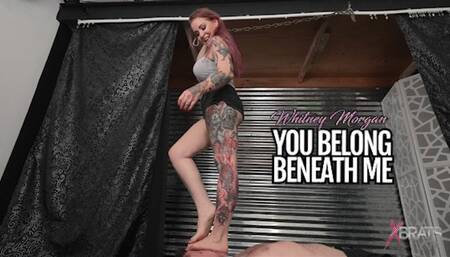 Whitney - You Belong Under Me! - HD 1080p MP4