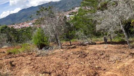 Two Sexy Athletic Guys Have Oral Sex in a Park Place