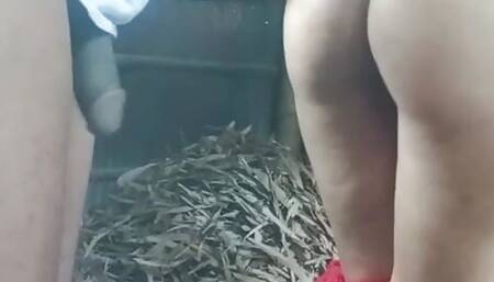 Me and my desi village step sister privately sex in my house