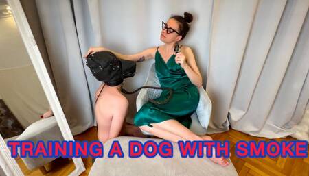 MISTRESS IN GREEN HUMILIATES AND SMOKES RIGHT INTO THE MASK OF A NAKED DOG 1080