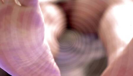 Feet Pig Training Worship Master