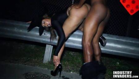 Beautiful outdoor interracial fuck with a hot doll Jayla Foxx