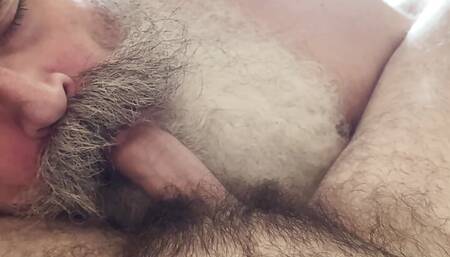 Big Bearded Daddy Sucks Cub Cock