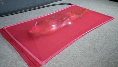 Attack of the caterpillar part 3