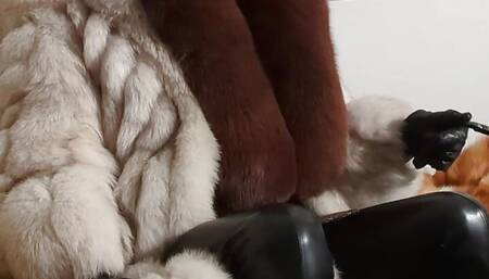 Hermelin - fur, boots and the scale.