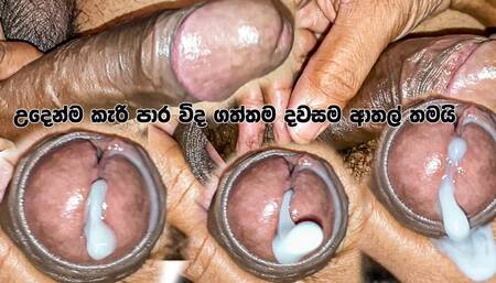 Big penis srilankan boy oil massage in home loading big cum to hand