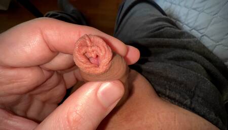 my little cock twitches in my pants (collection)